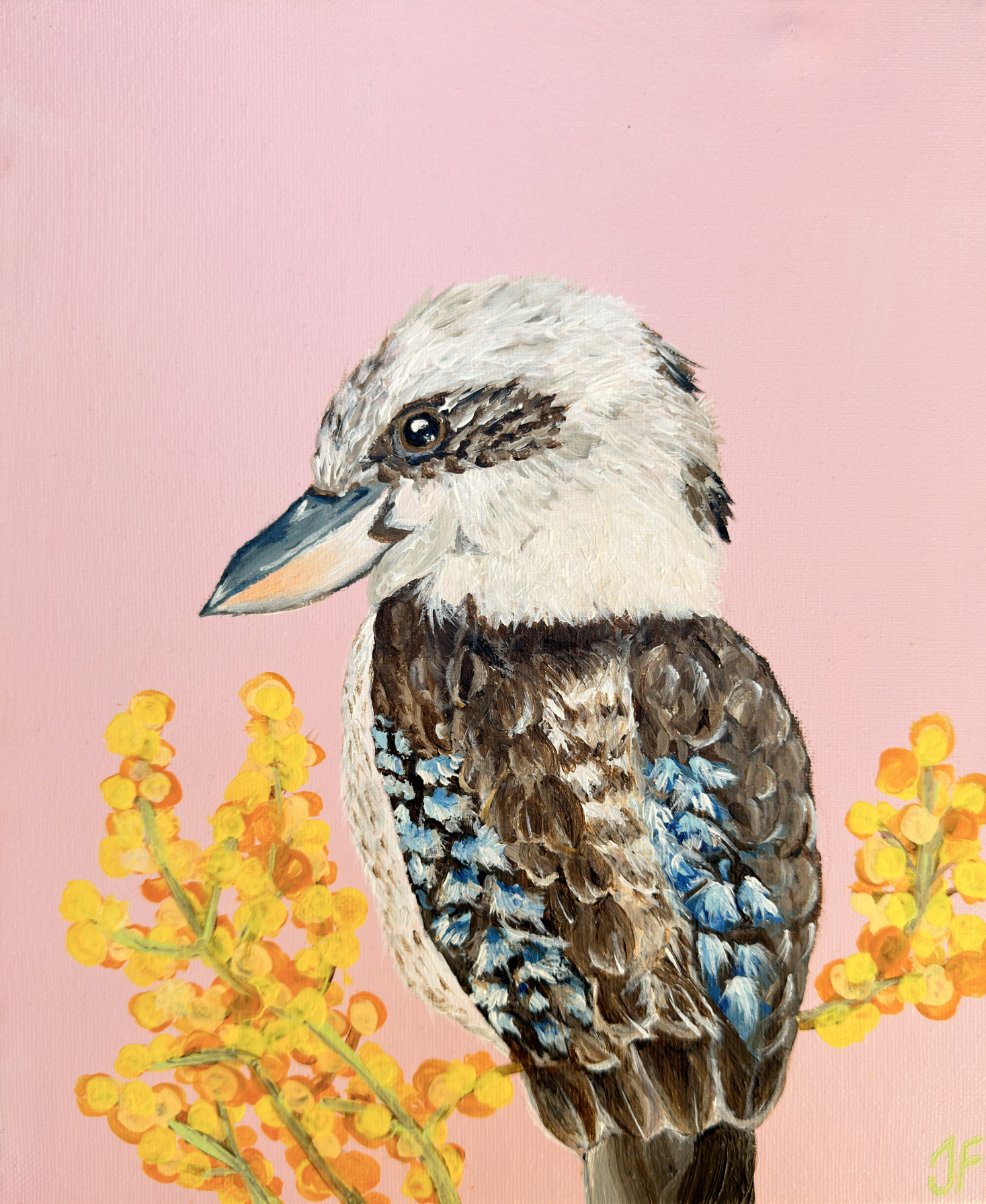 King Kookaburra